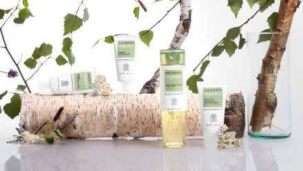 Massage Royal Hainaut Spa & Resort Hotel in Valenciennes in the Nord region